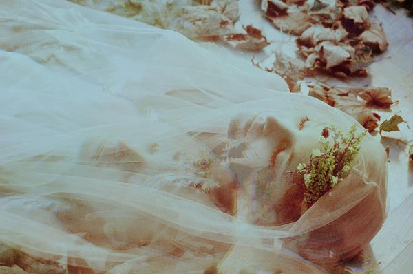 Amazing Photography by Amber Ortolano