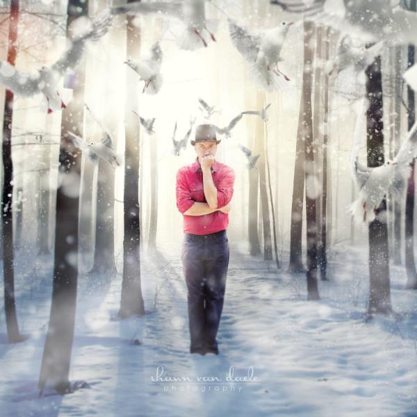 Crazy Photography by Shawn Van Daele