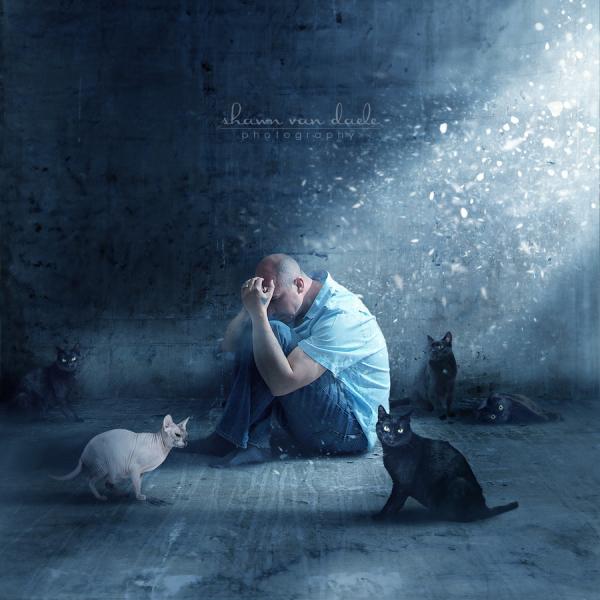 Crazy Photography by Shawn Van Daele