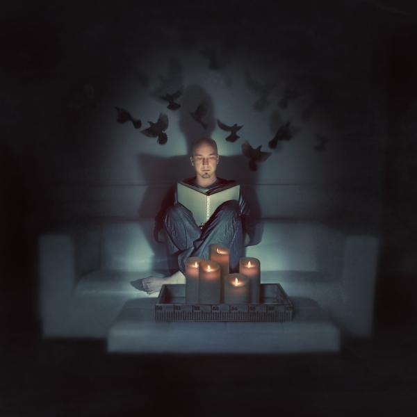 Crazy Photography by Shawn Van Daele