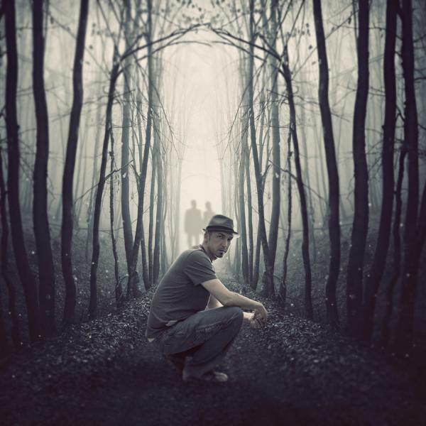 Crazy Photography by Shawn Van Daele