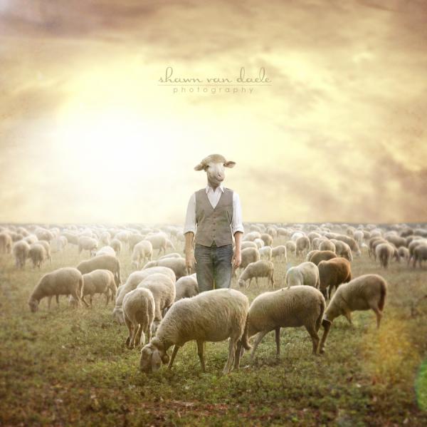 Crazy Photography by Shawn Van Daele