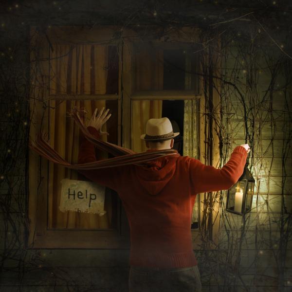 Crazy Photography by Shawn Van Daele