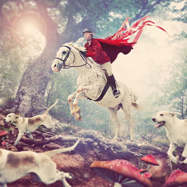 Crazy Photography by Shawn Van Daele