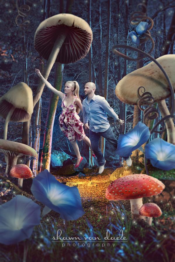 Crazy Photography by Shawn Van Daele