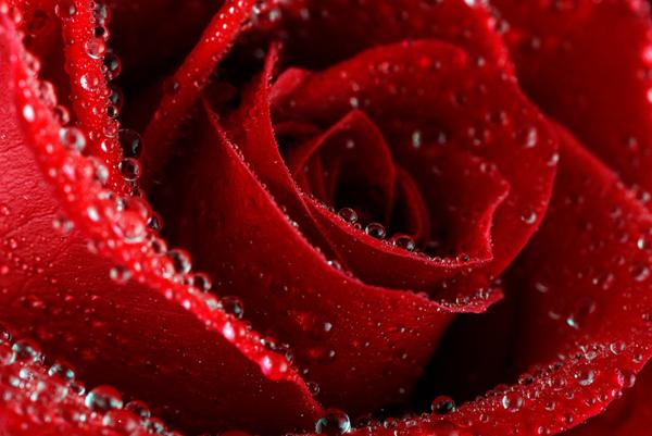 50 Ideas of Love Photography