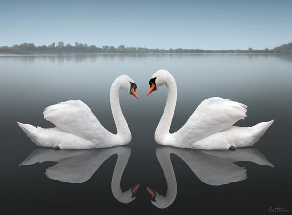 50 Ideas of Love Photography