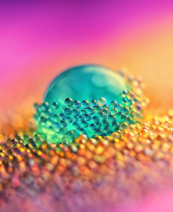 Bokeh Photography by Najwa