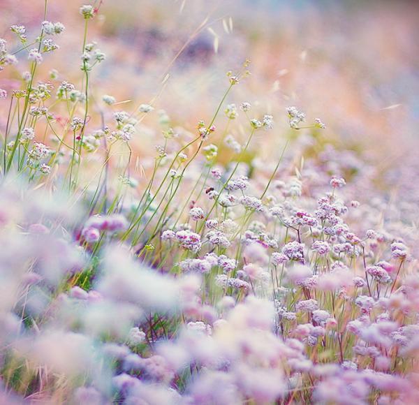 Bokeh Photography by Najwa
