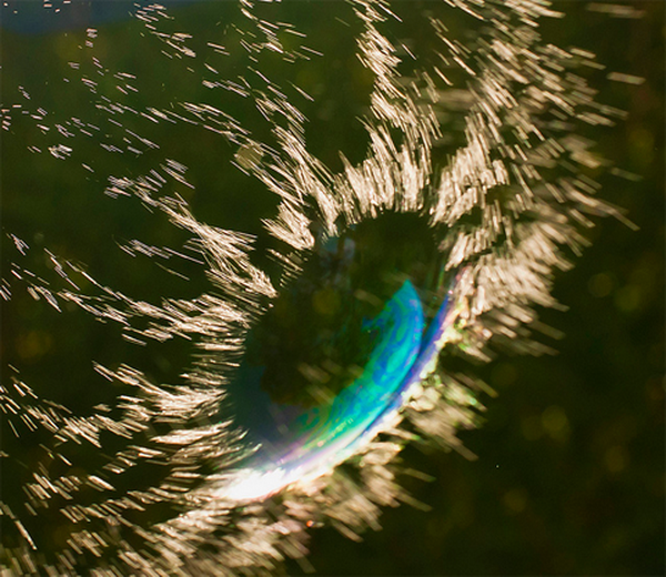 Bubble Photography Richard Heeks