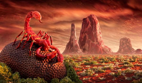 Creative Foodscapes by Carl Warner