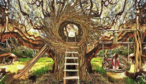 Human Nests by Jayson Fann