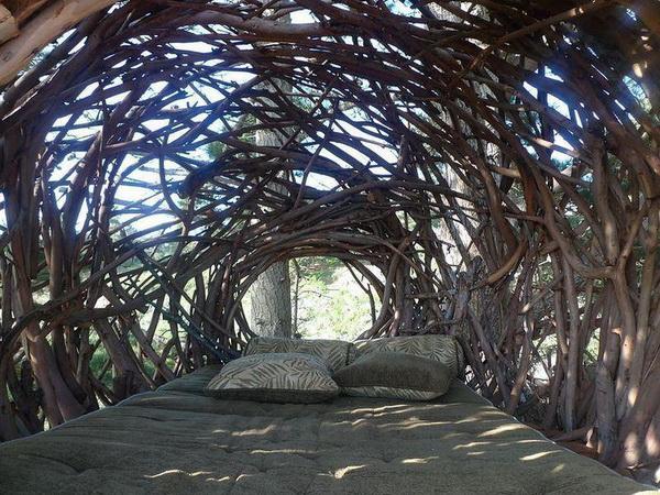 Human Nests by Jayson Fann