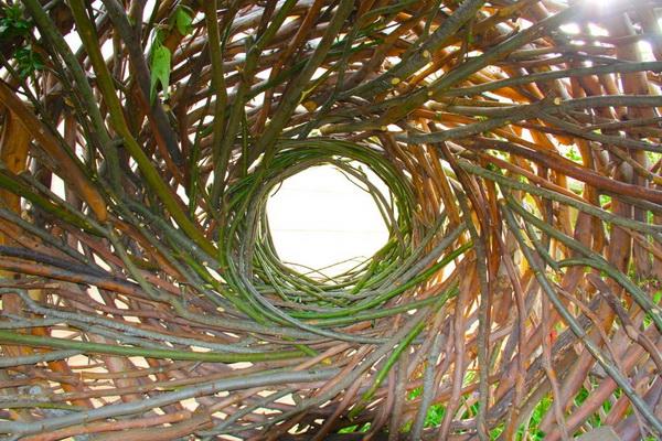 Human Nests by Jayson Fann