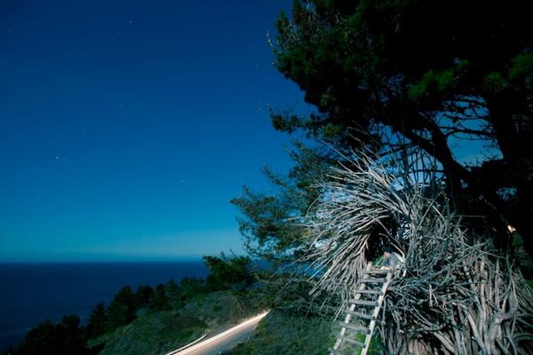 Human Nests by Jayson Fann