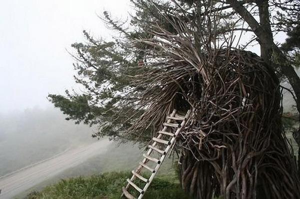 Human Nests by Jayson Fann