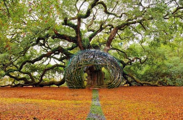 Human Nests by Jayson Fann