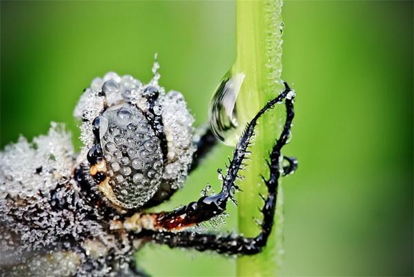 Nature Photography by David Chambon