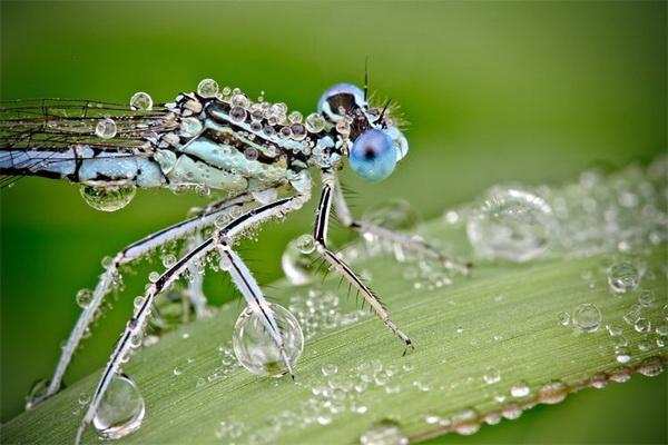 Nature Photography by David Chambon