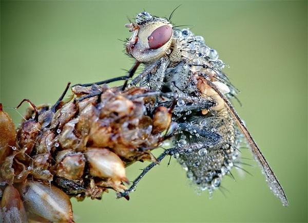 Nature Photography by David Chambon