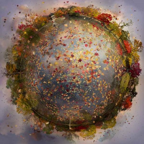 Floating Landscapes by Catherine Nelson