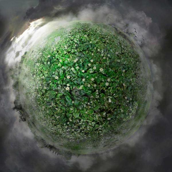 Floating Landscapes by Catherine Nelson