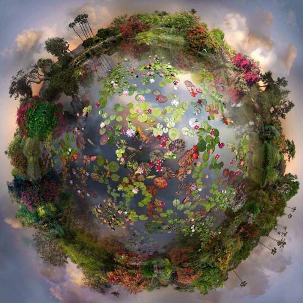 Floating Landscapes by Catherine Nelson