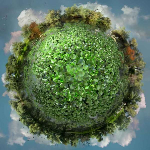 Floating Landscapes by Catherine Nelson