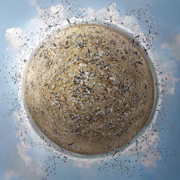 Floating Landscapes by Catherine Nelson
