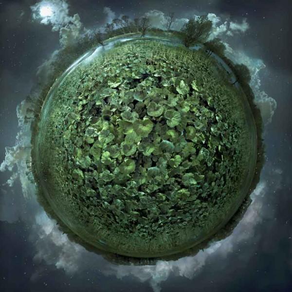 Floating Landscapes by Catherine Nelson