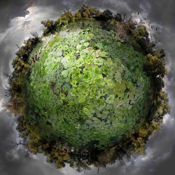 Floating Landscapes by Catherine Nelson