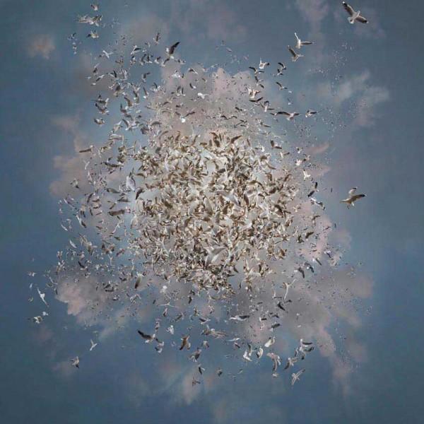 Floating Landscapes by Catherine Nelson