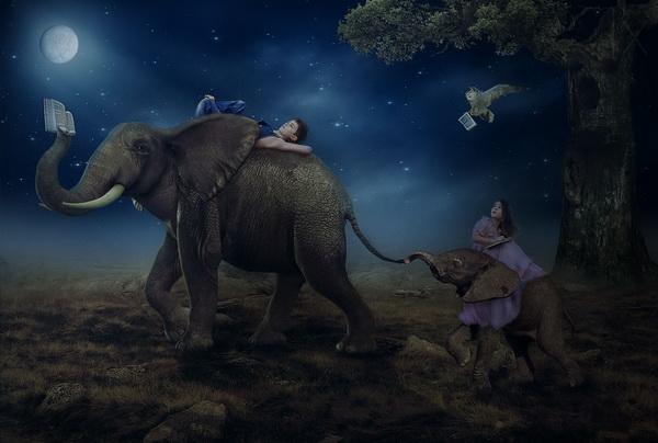 Photo Manipulations by Natali Orion