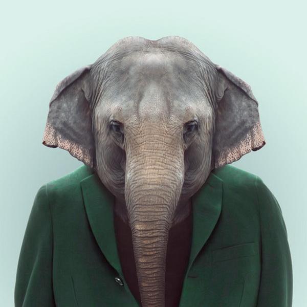 Animals Portraits by Yago Partal