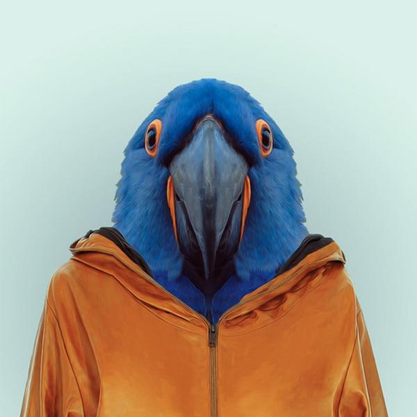 Animals Portraits by Yago Partal