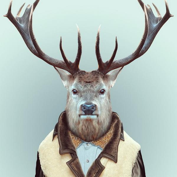 Animals Portraits by Yago Partal
