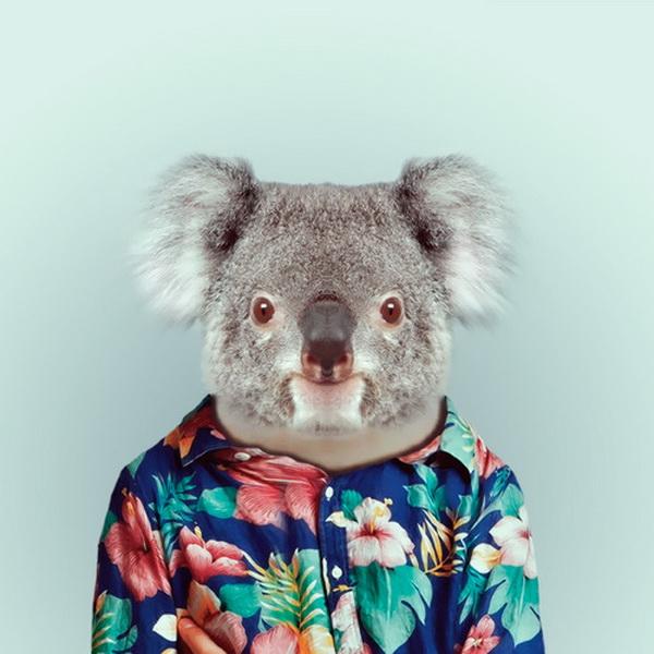 Animals Portraits by Yago Partal