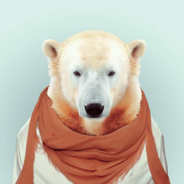 Animals Portraits by Yago Partal