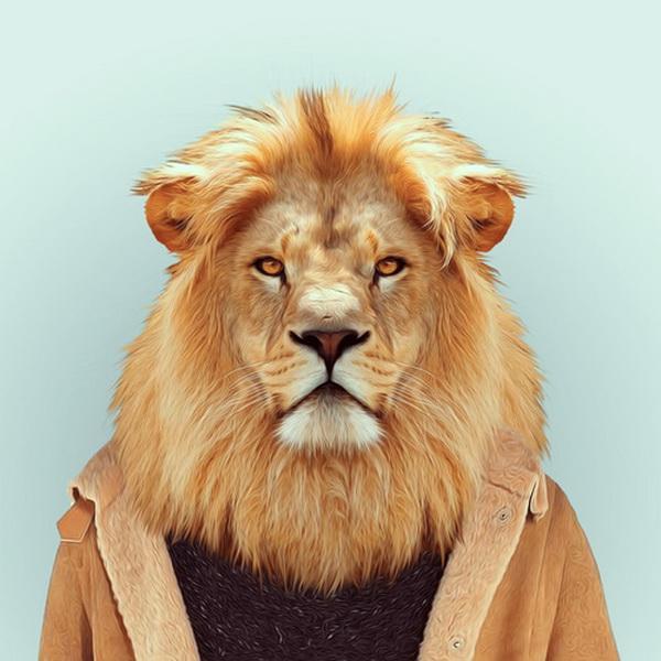 Animals Portraits by Yago Partal