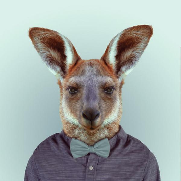 Animals Portraits by Yago Partal