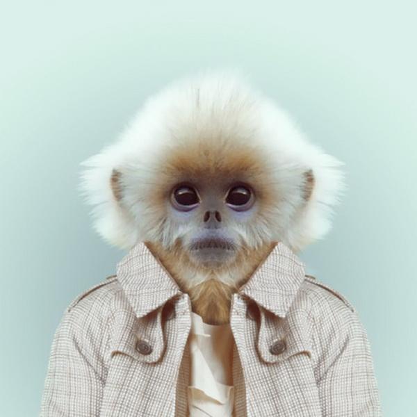 Animals Portraits by Yago Partal