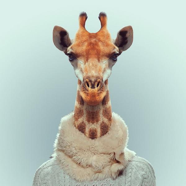 Animals Portraits by Yago Partal