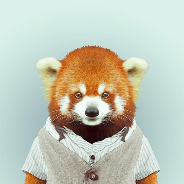 Animals Portraits by Yago Partal