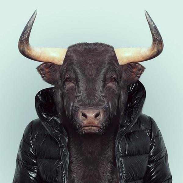 Animals Portraits by Yago Partal