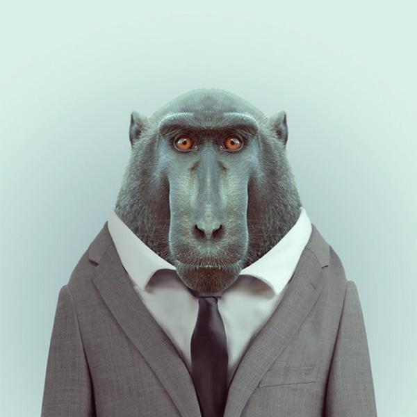 Animals Portraits by Yago Partal