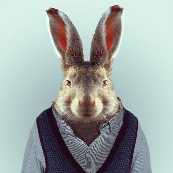 Animals Portraits by Yago Partal