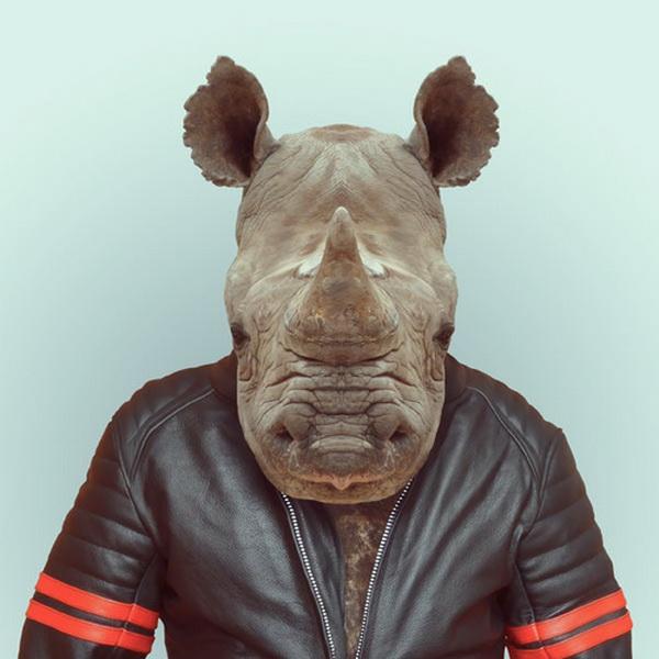 Animals Portraits by Yago Partal