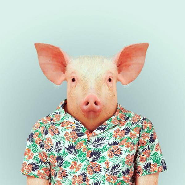 Animals Portraits by Yago Partal