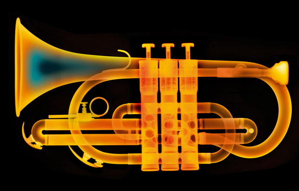 X-Ray Photography by Nick Veasey