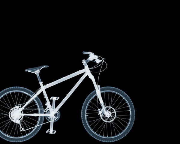 X-Ray Photography by Nick Veasey